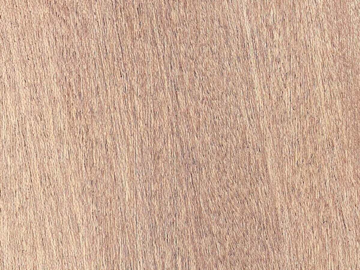 沙比利 Sapele